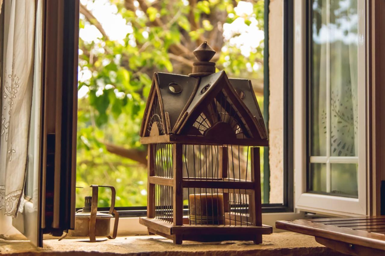Traditional Guesthouses Xenofon Drymon المظهر الخارجي الصورة