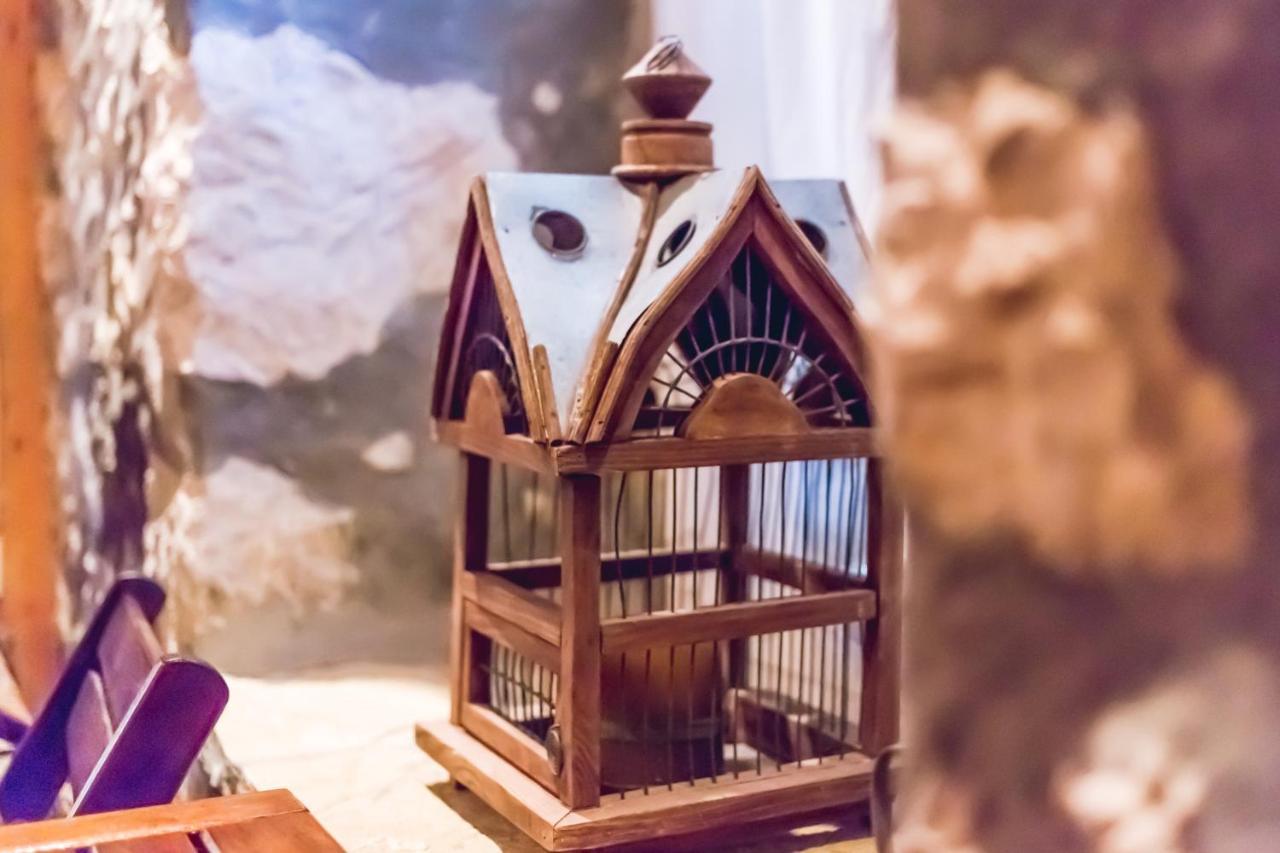 Traditional Guesthouses Xenofon Drymon المظهر الخارجي الصورة