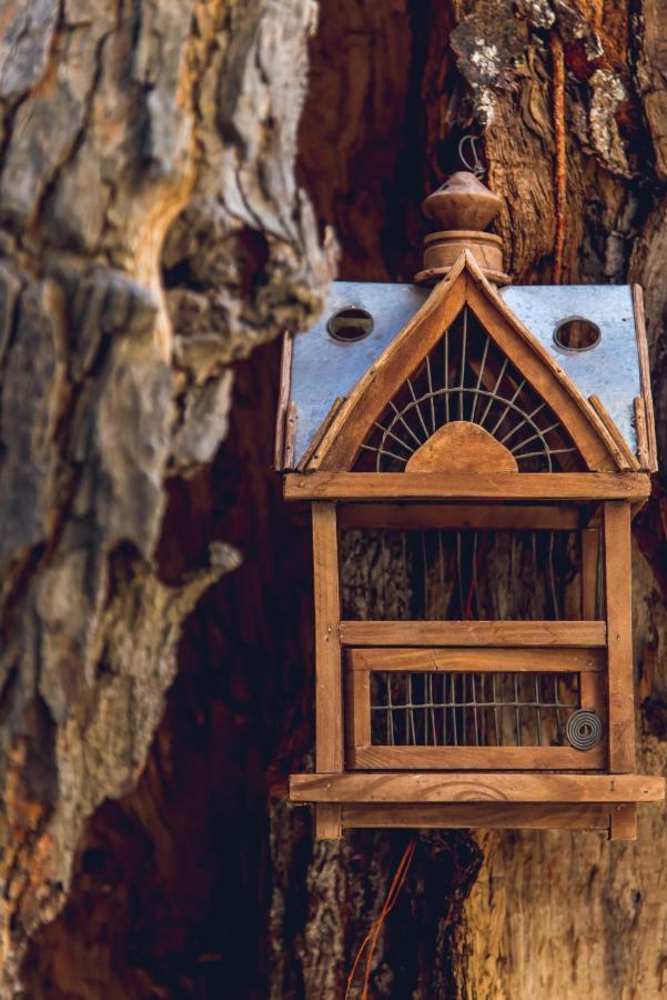 Traditional Guesthouses Xenofon Drymon المظهر الخارجي الصورة