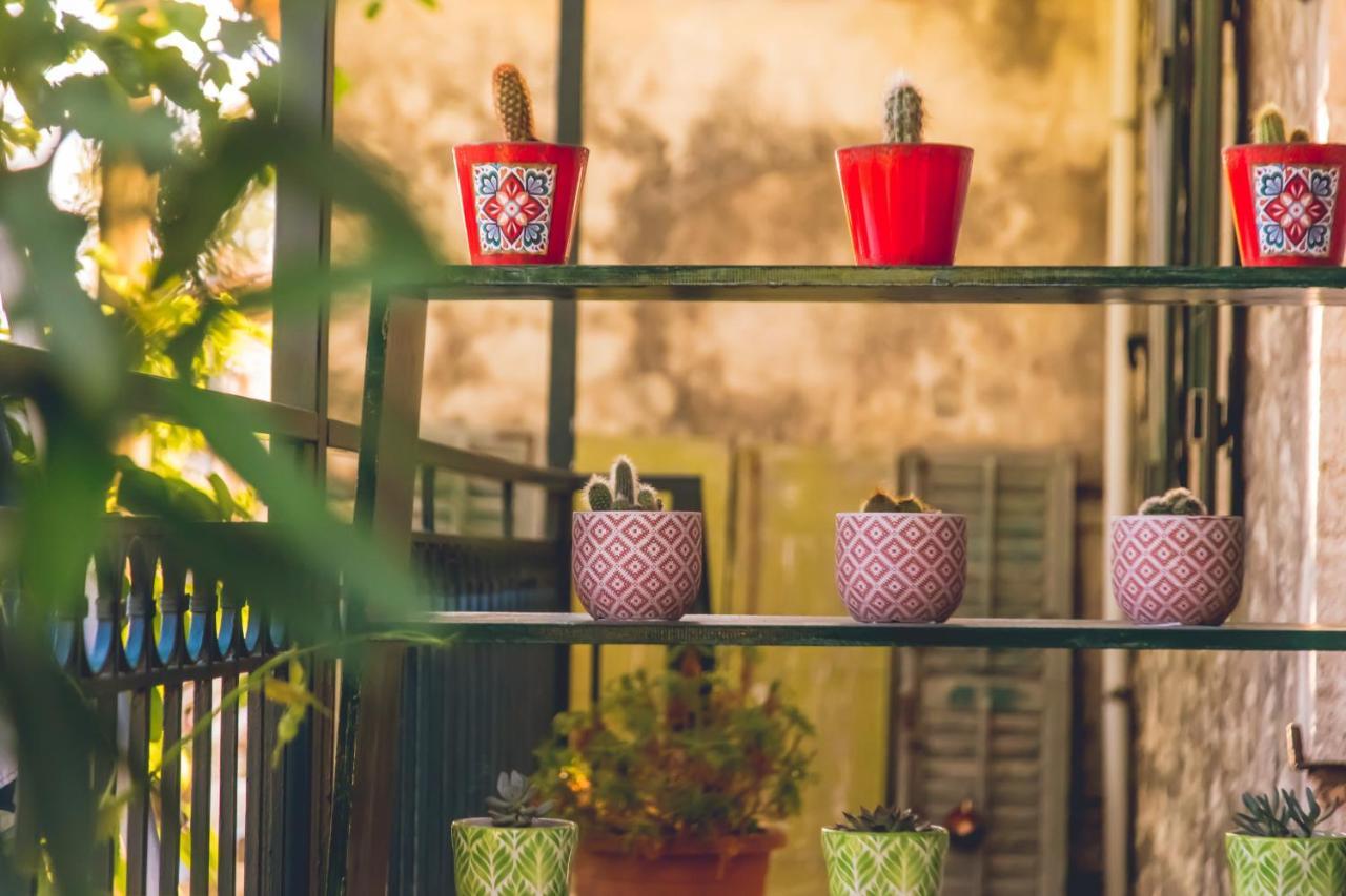 Traditional Guesthouses Xenofon Drymon المظهر الخارجي الصورة